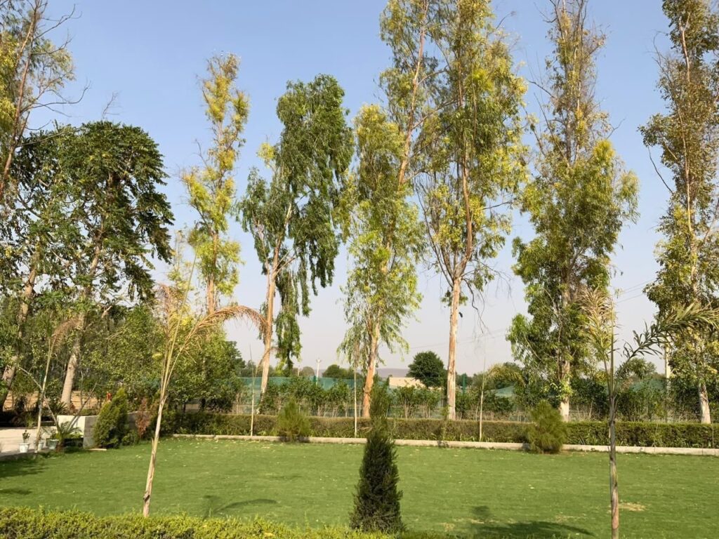 Ram Rattan Land in Naugaon Alwar