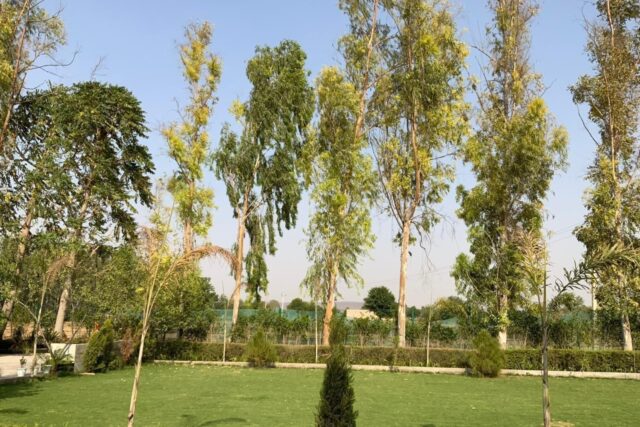 Ram Rattan Group Farm House Price