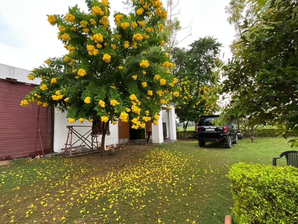 Ram Rattan Group Farm House