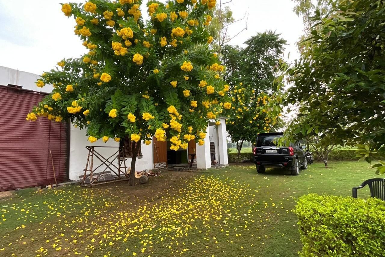 Ram Rattan Group Farm House
