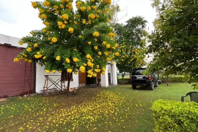 Ram Rattan Group Farm House