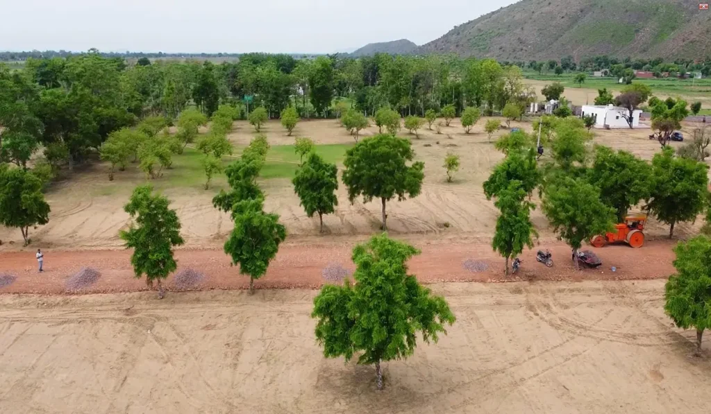 Ananda Agri Farm 