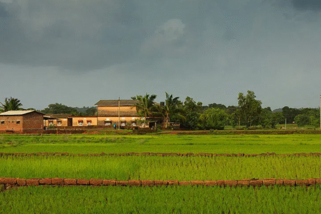 Aanandaa Farm in Naugaon