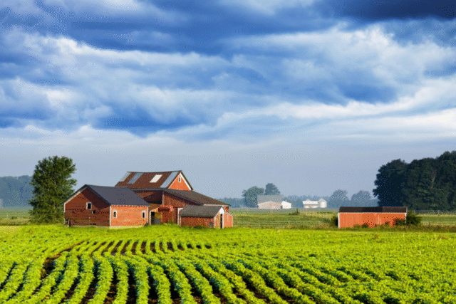 Golden Age Isvara Farms