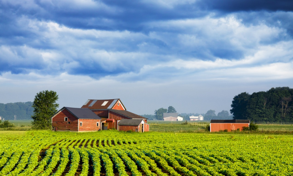 Golden Age Isvara Farms