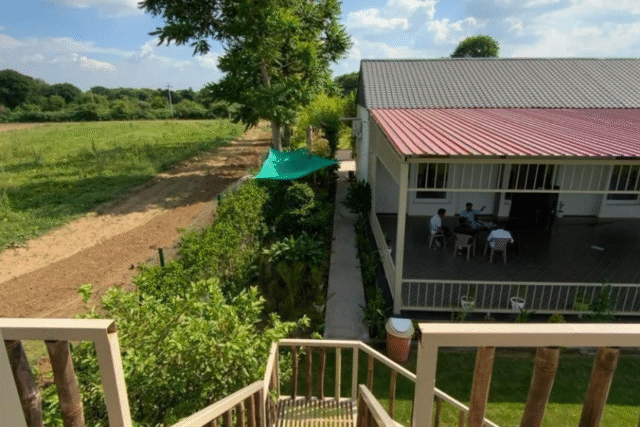 Ram Rattan Farms
