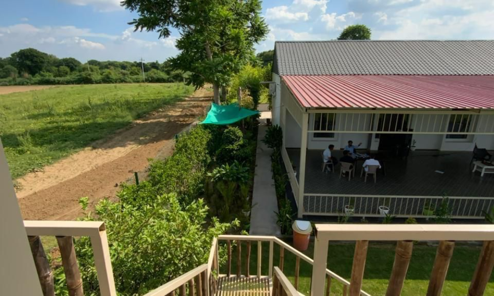 Ram Rattan Farms