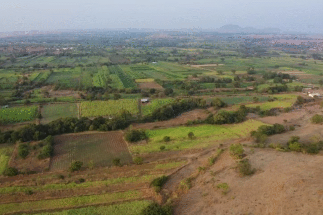 Ananda Agri Farm
