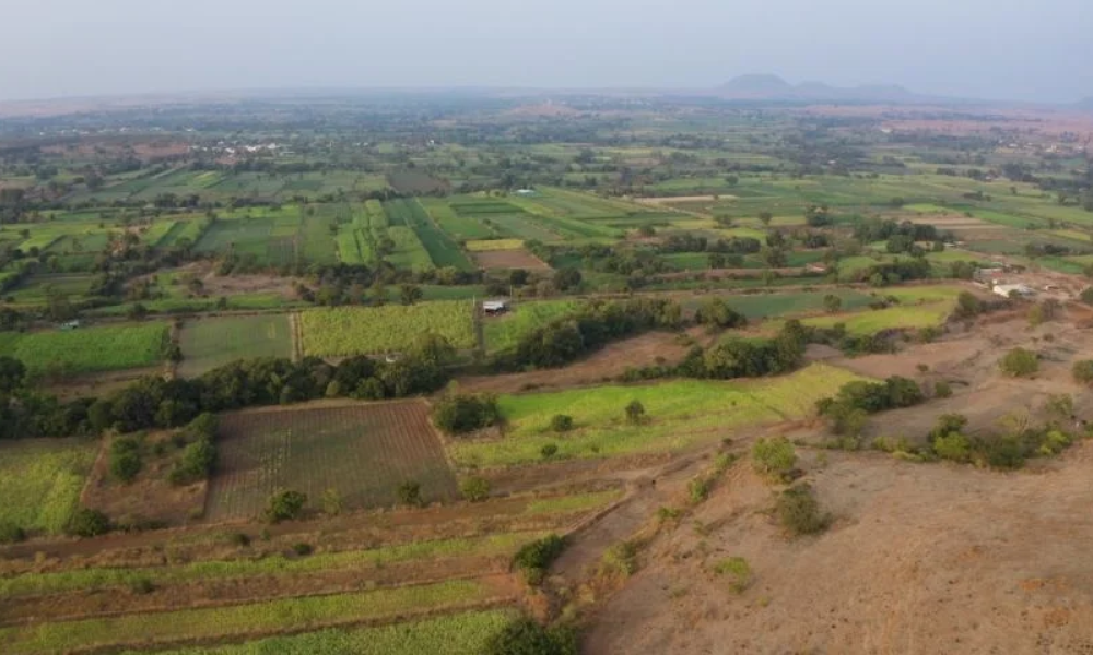 Ananda Agri Farm
