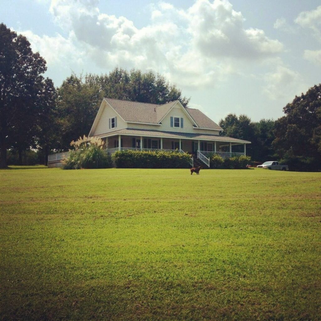 Ram rattan farm