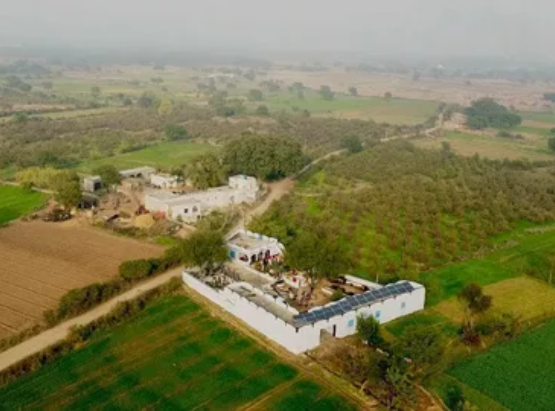 Ram Rattan Farms in Naugaon