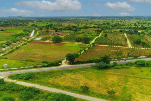 Ram Rattan plots in Naugaon