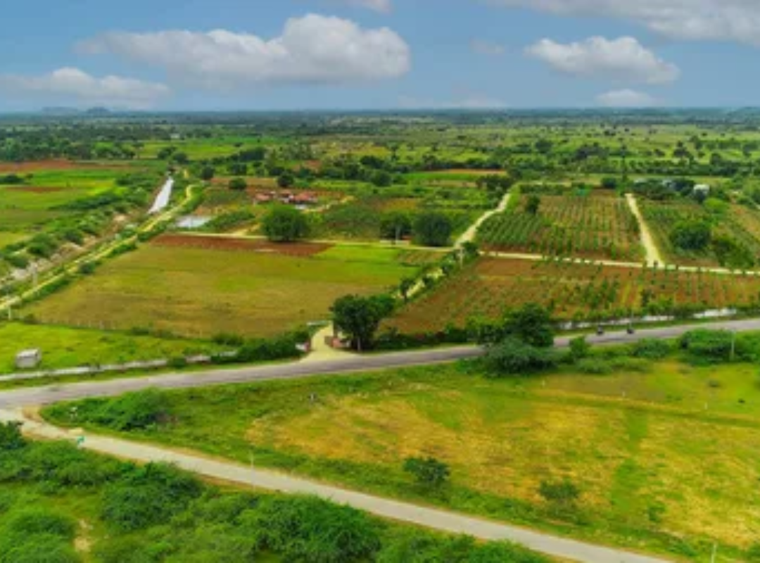 Ram Rattan plots in Naugaon