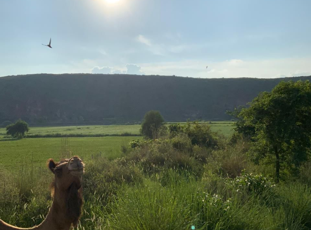 Ramratan Group Farm House