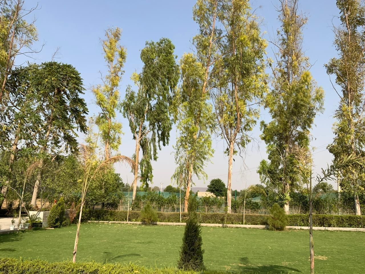 Ram Rattan Group Alwar