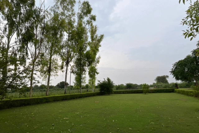 ram ratan farm house