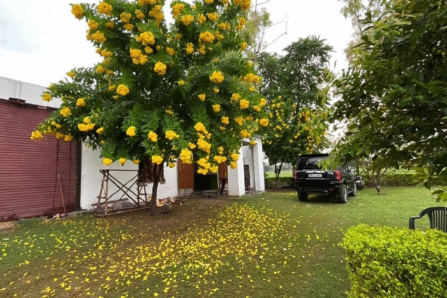 the ananta farms ram rattan group